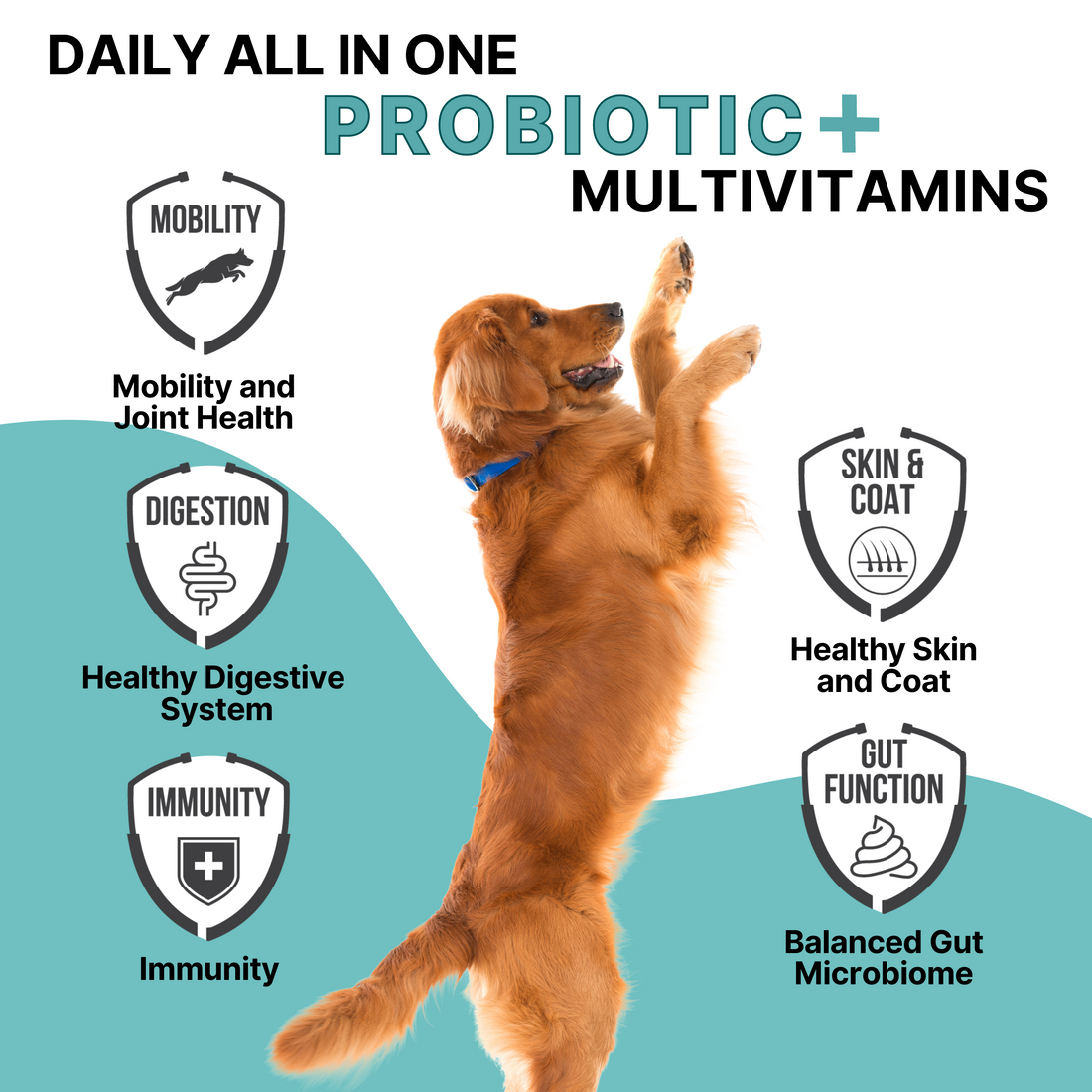 Petection for Dogs - Daily All in One Probiotic + Multivitamins (60 Chews)